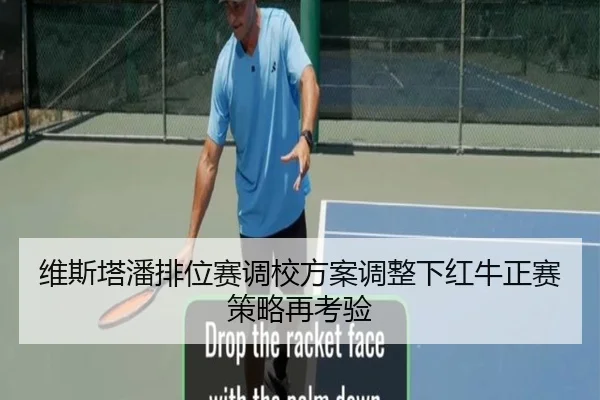 维斯塔潘排位赛调校方案调整下红牛正赛策略再考验